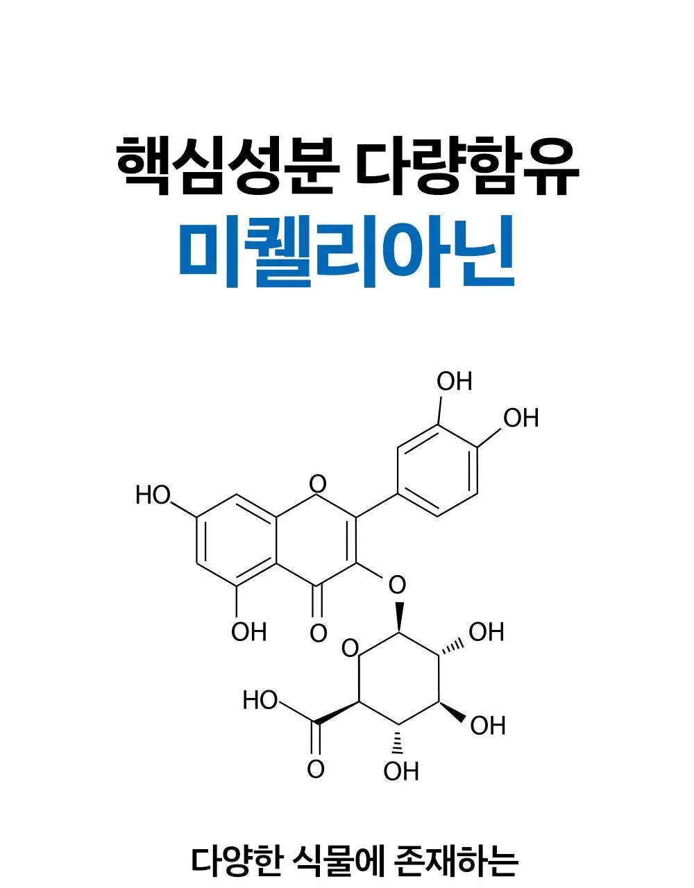 [올영단독/코상태개선] 대원제약 대원헬스 삼백초추출물 코편샷20g x 12포(12일분) 상세페이지 6
